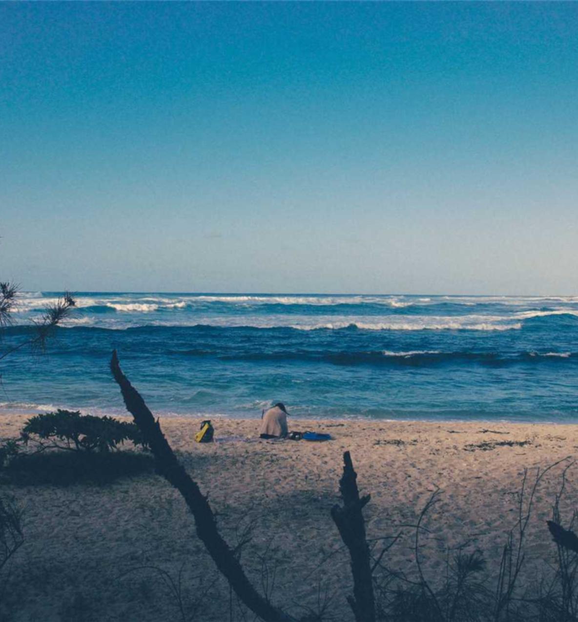 猎魂觉醒：车挣app详情下载教程