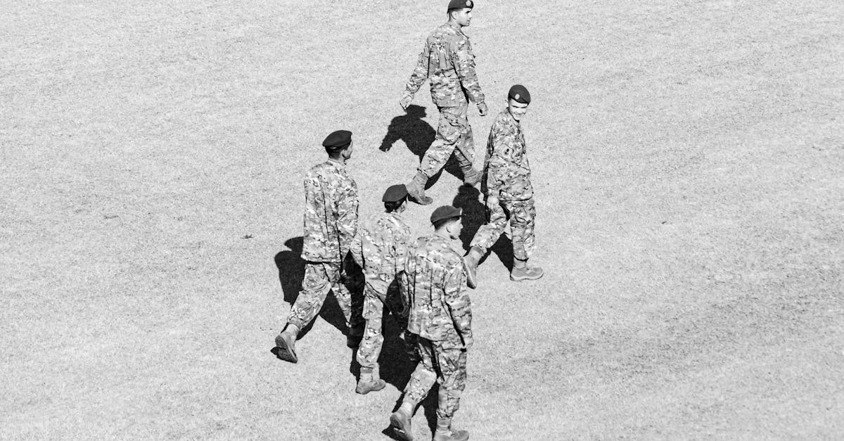 方盒中免黄大卫杜夫国际版：外卖平台代理招商手册