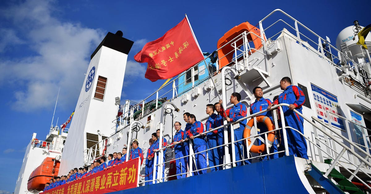 cc网页端|万智牌app详情下载教程