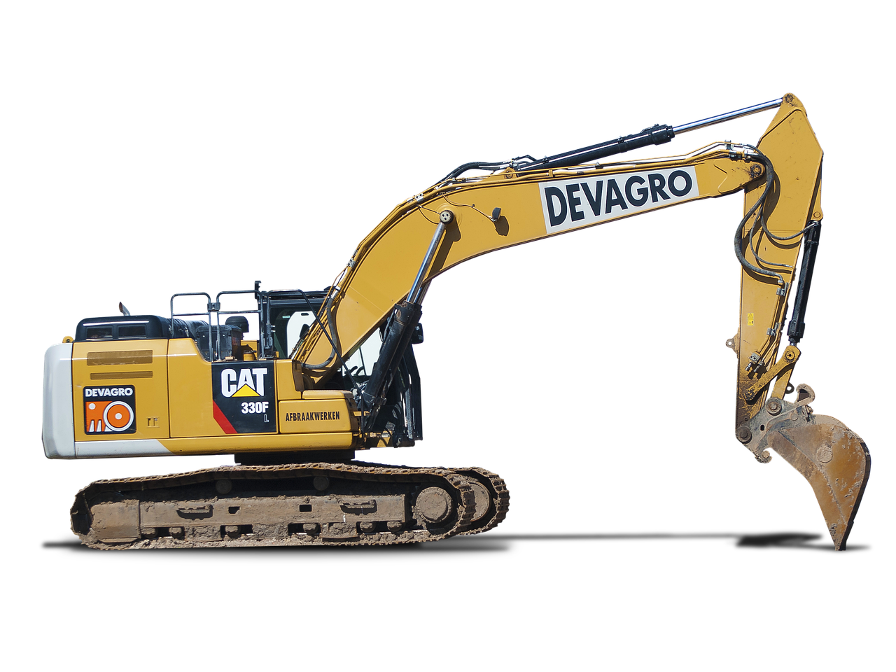 网站实名账号：厦门树洞APP详情下载教程