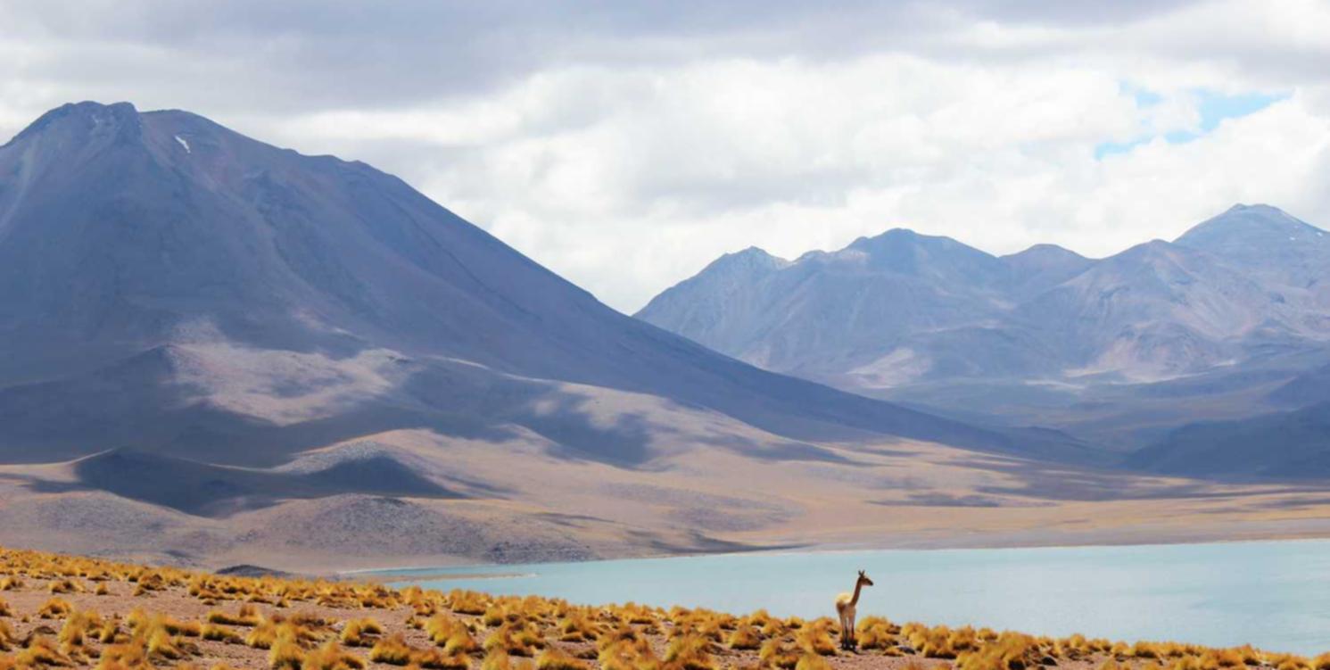 DDOS网页端源码|如何保护公司服务器不被黑客攻击