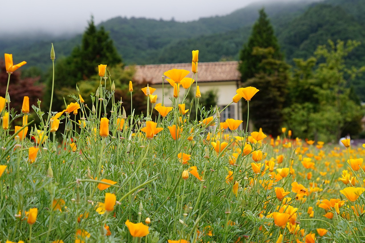 在线DDOS压力测试网页端|从黑客攻击中恢复信心